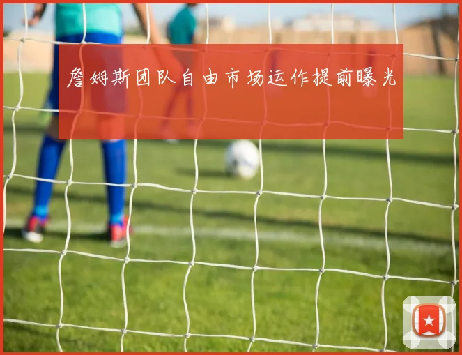 詹姆斯团队自由市场运作提前曝光